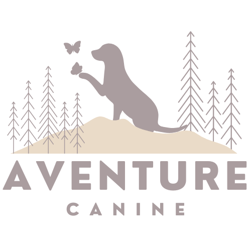 Aventurecanine