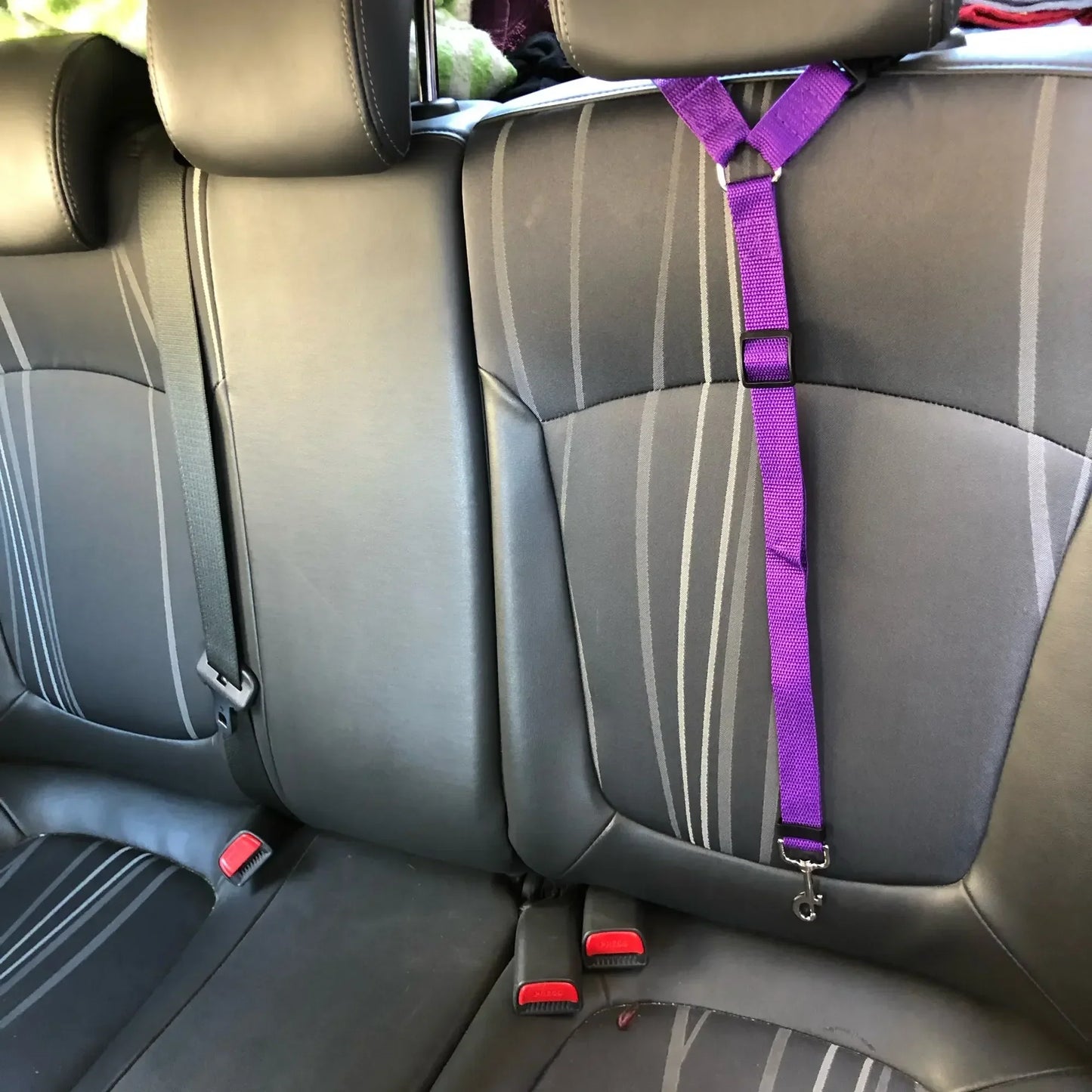 Ceinture de sécurité pour chien fixation appuie-tête