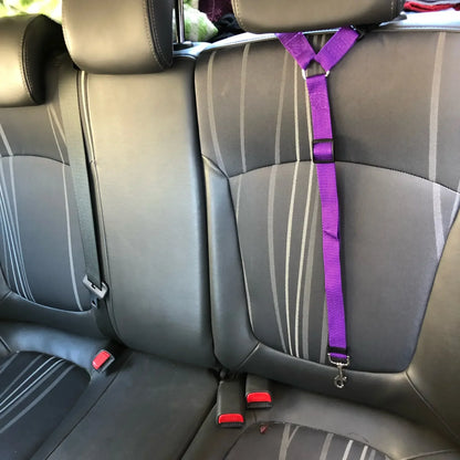 Ceinture de sécurité pour chien fixation appuie-tête