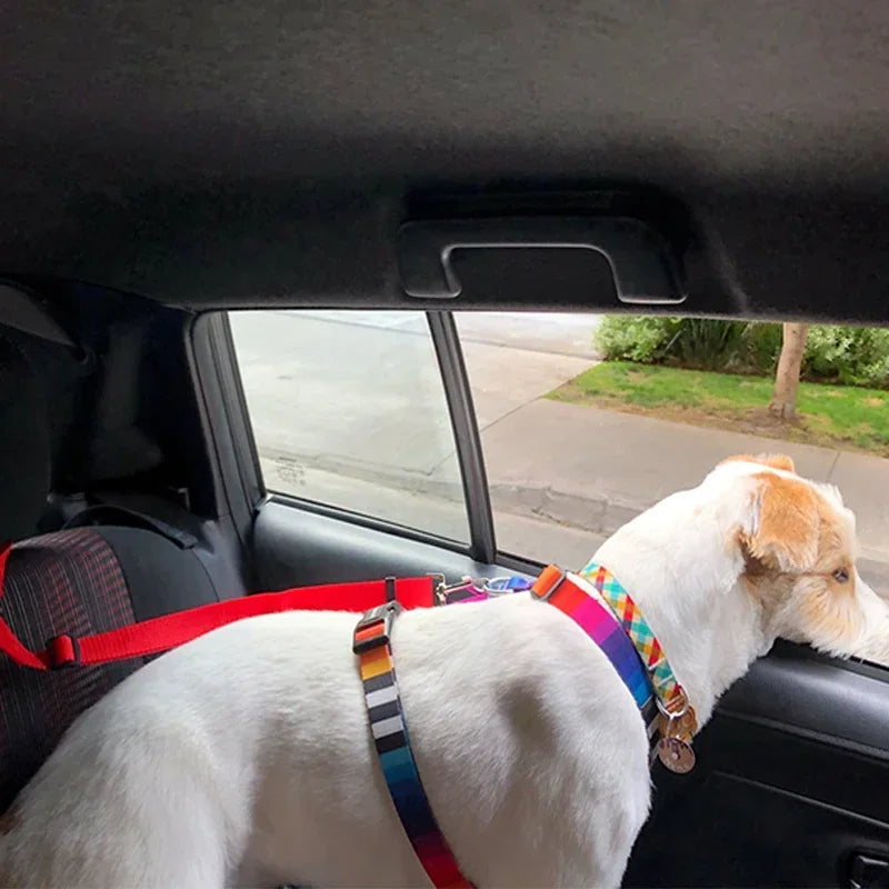 Ceinture de sécurité pour chien fixation appuie-tête