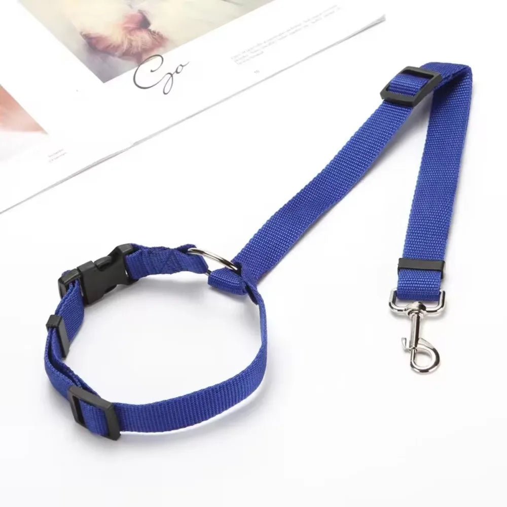 Ceinture de sécurité pour chien fixation appuie-tête