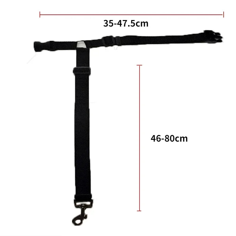 Ceinture de sécurité pour chien fixation appuie-tête