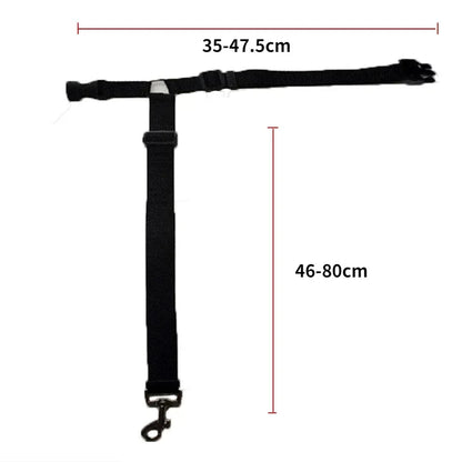 Ceinture de sécurité pour chien fixation appuie-tête