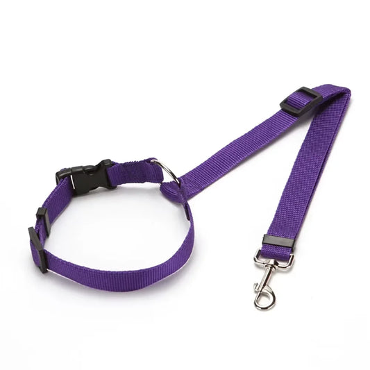 Ceinture de sécurité pour chien fixation appuie-tête