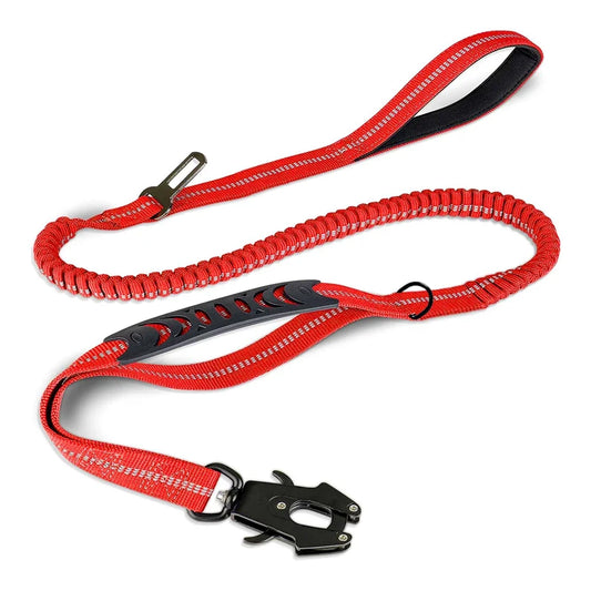 Ceinture de sécurité pour chien élastique