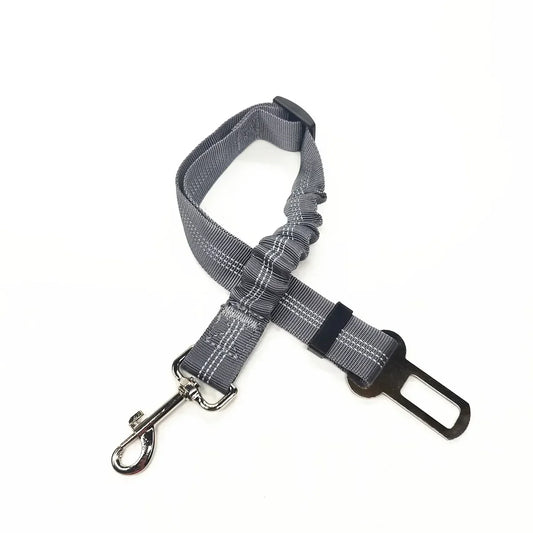Ceinture de sécurité pour chien