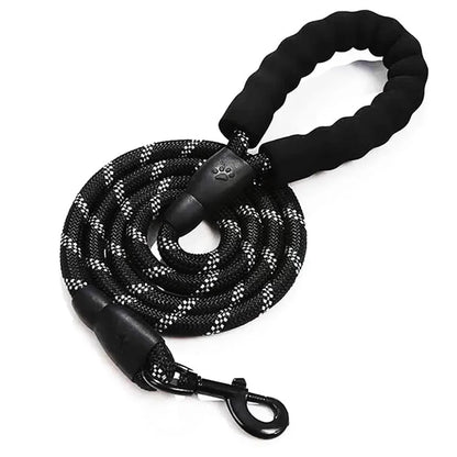 Collier lumineux